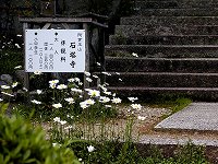 20070521ishidoji (5).jpg